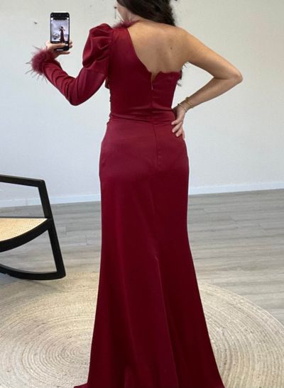 Long Sleeves One-Shoulder Feather Sheath/Column Evening Dresses