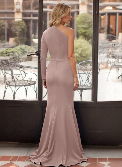 Long Sleeves One-Shoulder Simple Elegant Evening Dresses