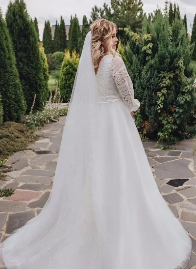 A-Line V-Neck Sweep Train Lace Plus Size Wedding Dress