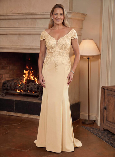Elegant Lace Sheath/Column Mother Of The Bride Dresses