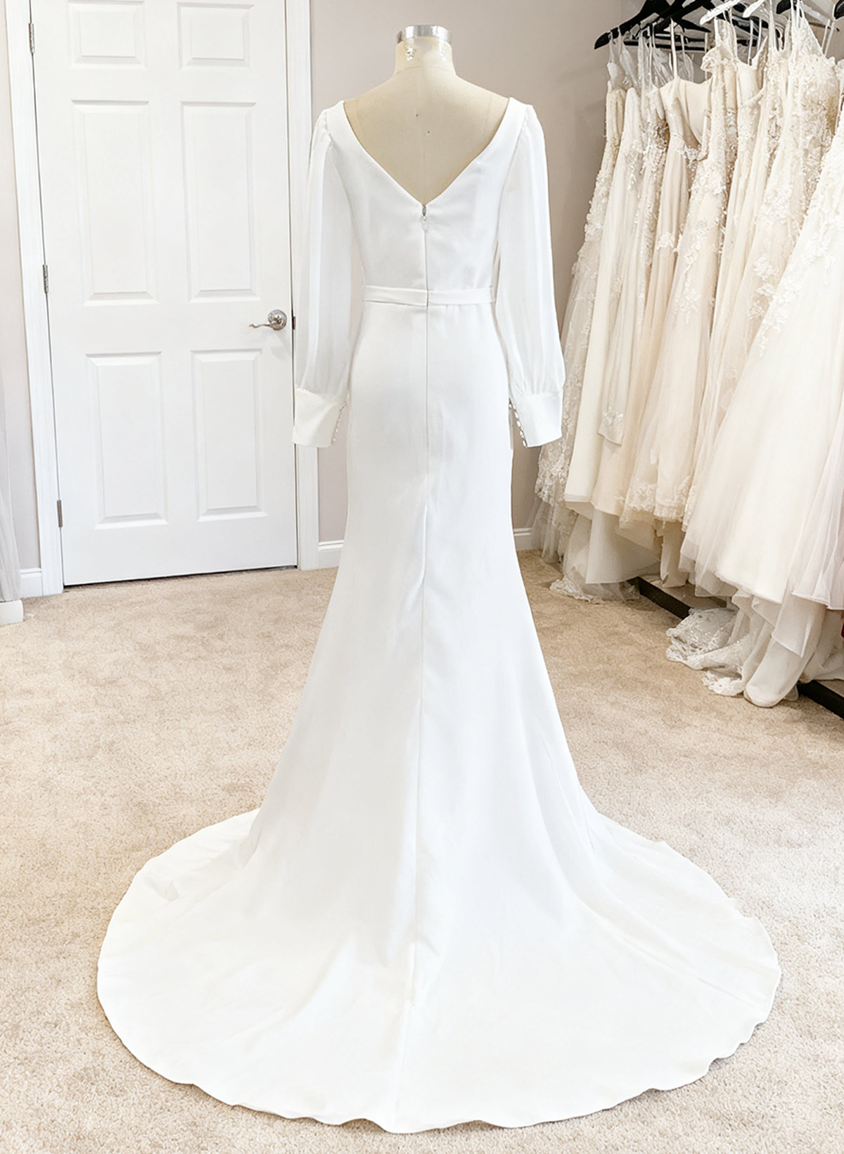 Elegant Long Sleeves Trumpet/Mermaid V-Neck Wedding Dresses