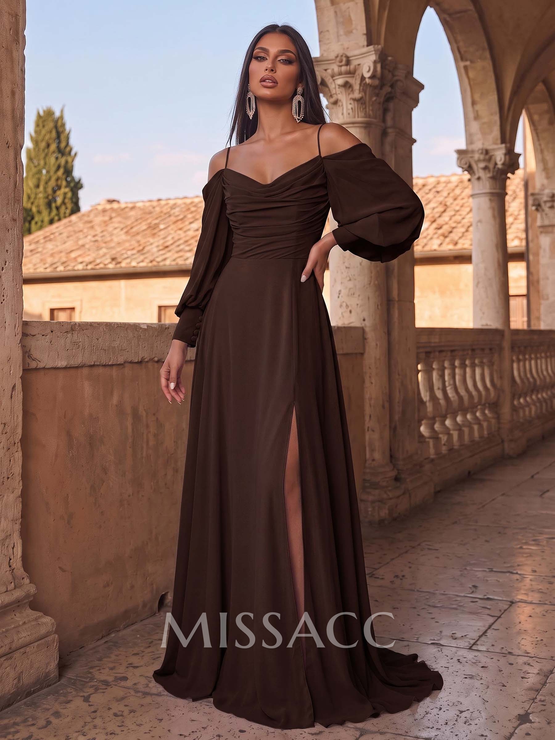 A-Line Chiffon Long Sleeves Evening Dresses With Split Front A-Line Chiffon Long Sleeves Evening Dresses With Split Front