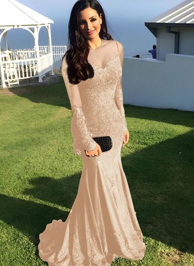 Trumpet/Mermaid Illusion Neck Sweep Train Evening Dresses With Appliques Lace
