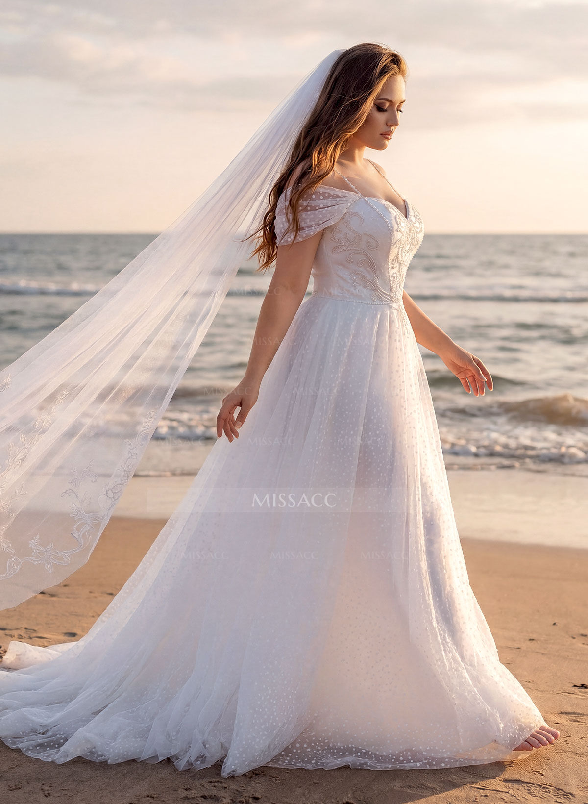 Plus Size A-Line Sweetheart Sleeveless Sweep Train Lace Wedding Dresses