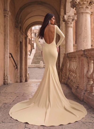 Trumpet/Mermaid Scoop Neck Long Sleeves Sweep Train Evening Dresses