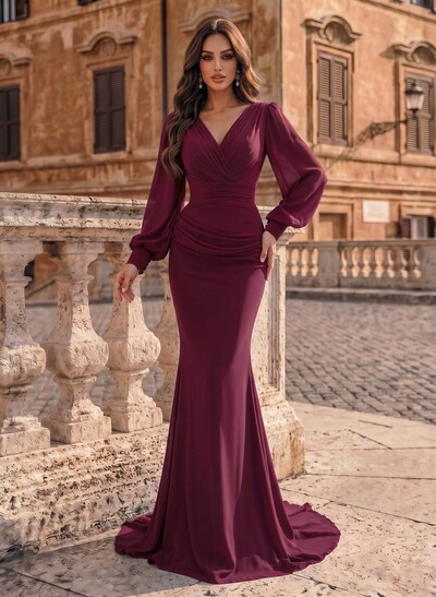V-Neck Trumpet/Mermaid Long Sleeves Evening Dresses