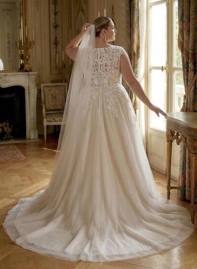 Plus Size A-Line V-Neck Sleeveless Sweep Train Tulle Wedding Dresses With Lace