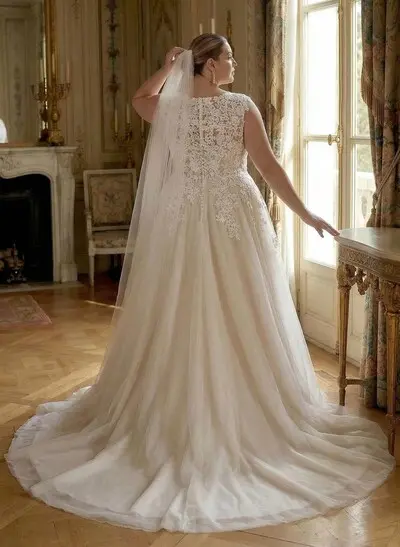 Plus Size A-Line V-Neck Sleeveless Sweep Train Tulle Wedding Dresses With Lace