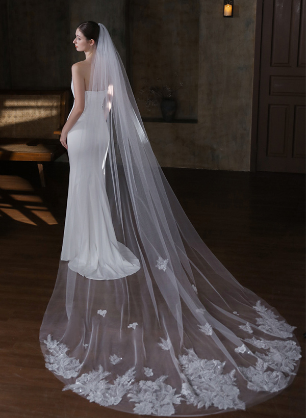 Lace Edge Single Tier Tulle Bridal Cathedral Length Wedding Veil