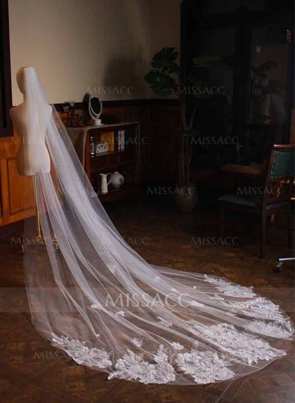 Lace Edge Single Tier Tulle Bridal Cathedral Length Wedding Veil