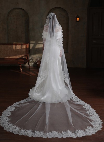 Lace Edge Single Tier Tulle Bridal Cathedral Length Wedding Veil