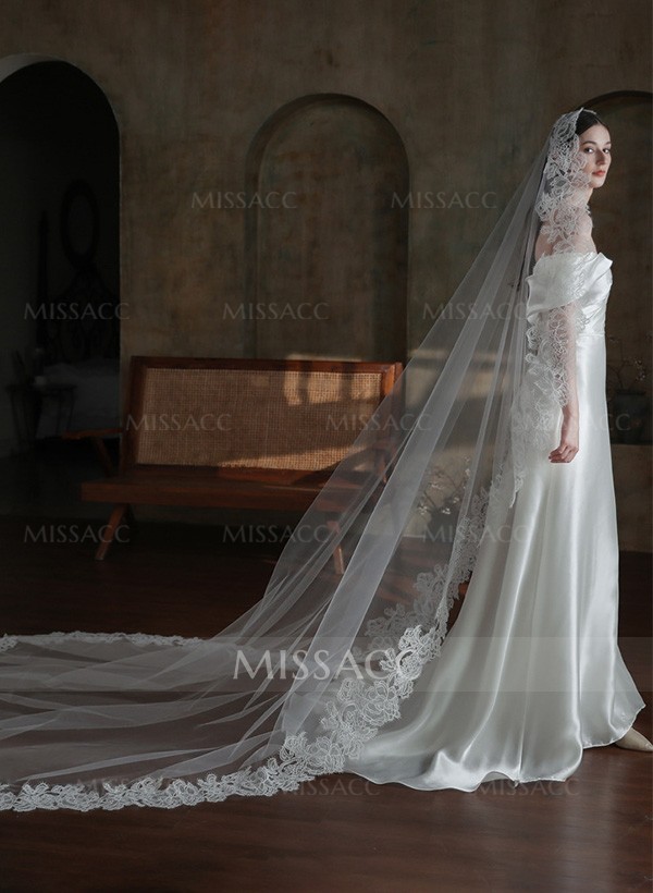 Lace Edge Single Tier Tulle Bridal Cathedral Length Wedding Veil