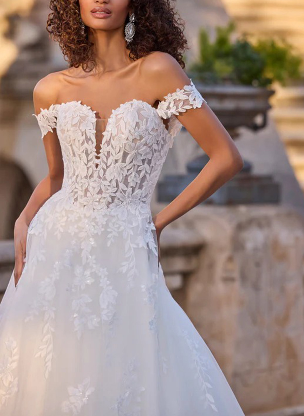 A-Line Off-The-Shoulder Sleeveless Court Wedding Dresses With Appliques Lace
