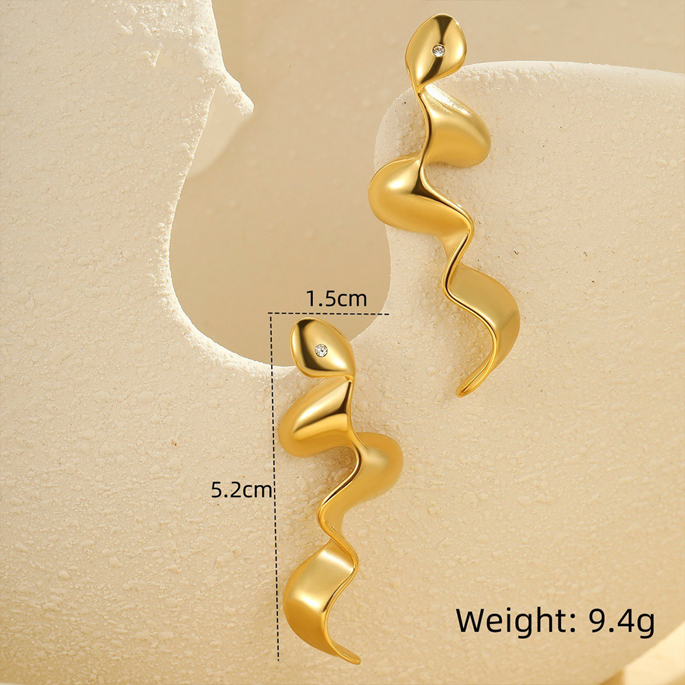 Stainless Steel Dangle Earrings