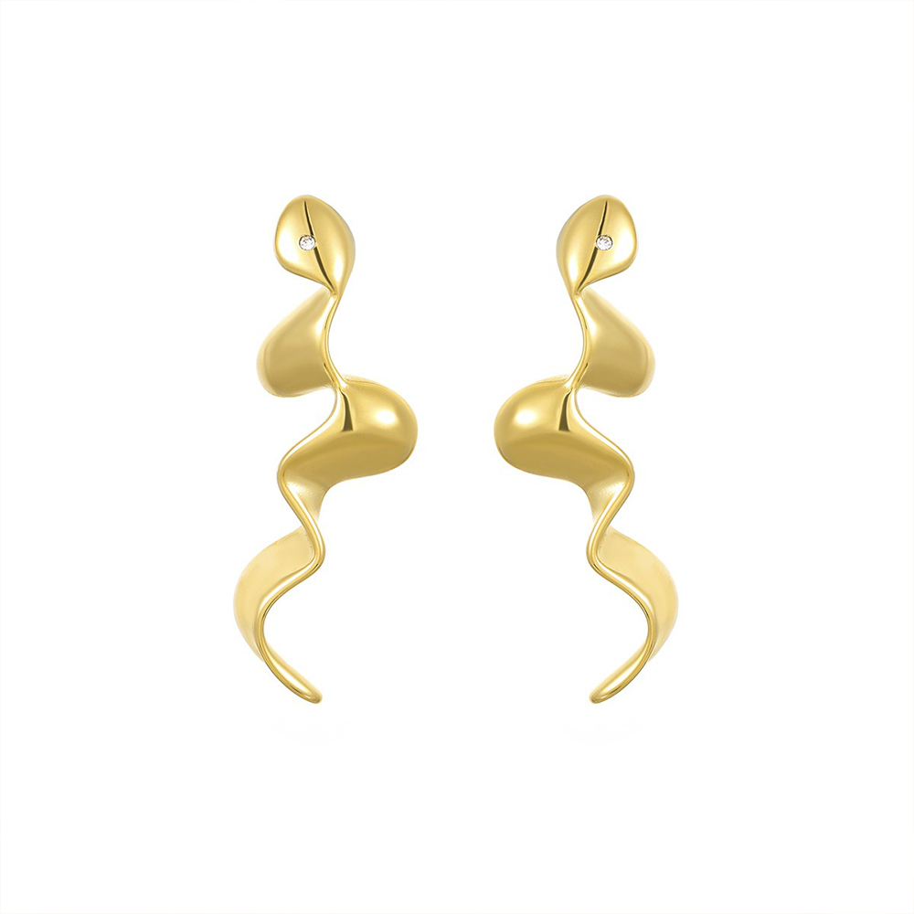 Stainless Steel Dangle Earrings