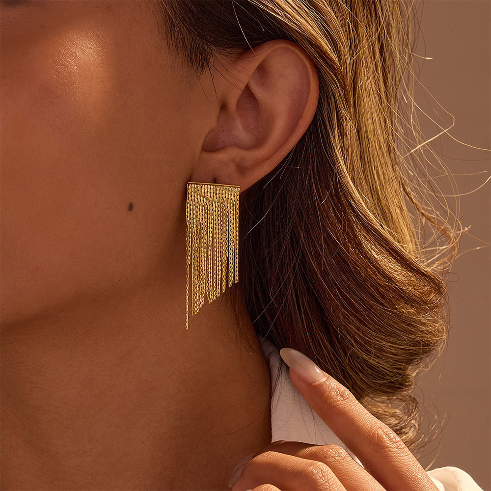 Stainless Steel Dangle Earrings