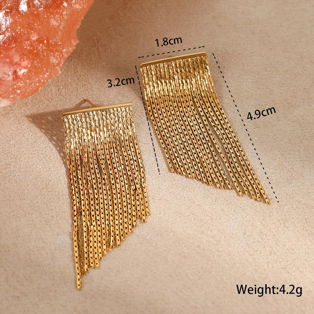 Stainless Steel Dangle Earrings