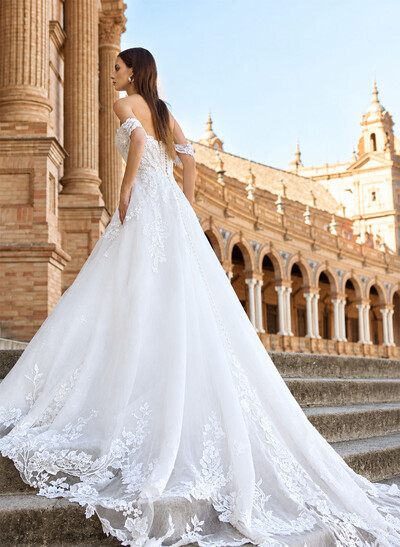 A-Line Sweetheart Sleeveless Court Train Satin/Tulle Wedding Dresses With Lace