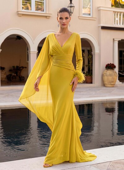 A-Line V-Neck Long Sleeves Court Train Evening Dresses With Sweeping Side Drape