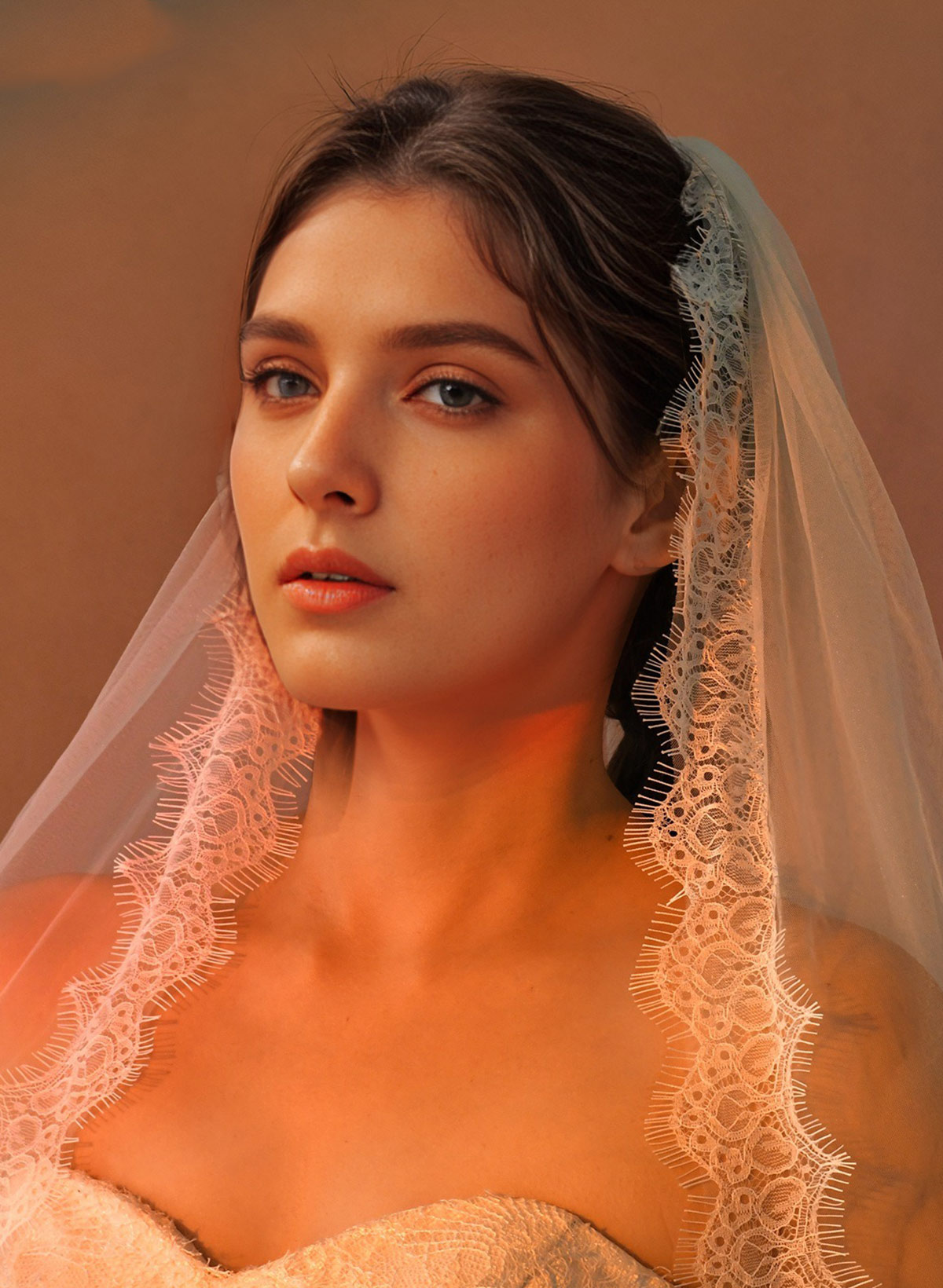 Lace Applique Edge One-Tier Tulle Cathedral Bridal Veils