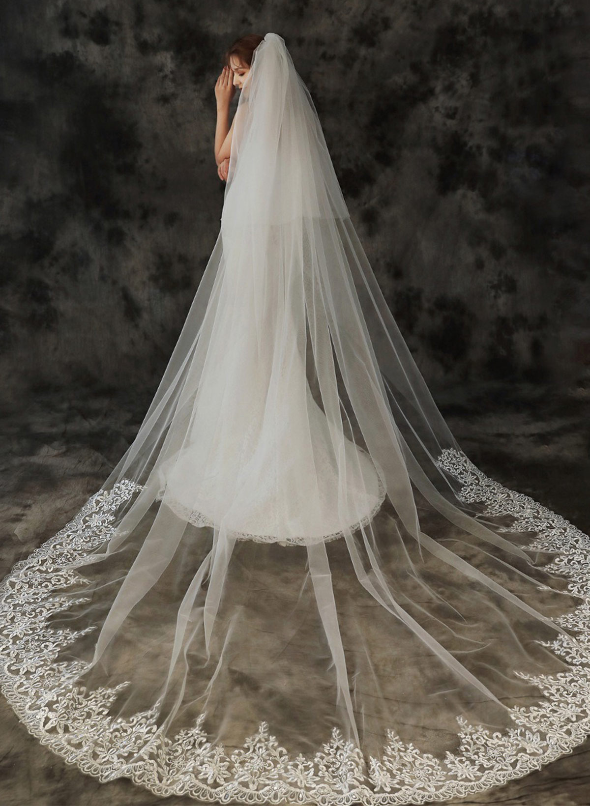 Lace Applique Edge Two-Tier Tulle Cathedral Bridal Veils
