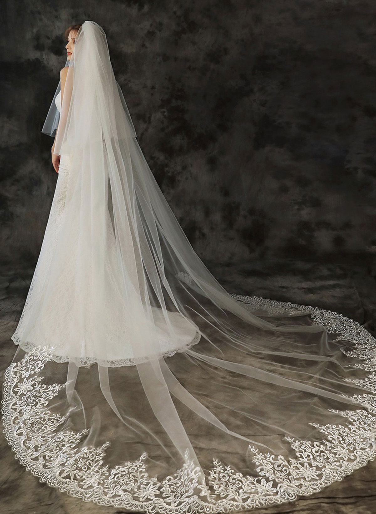 Lace Applique Edge Two-Tier Tulle Cathedral Bridal Veils